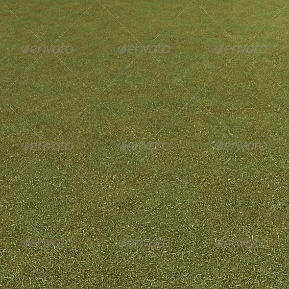 3DOcean Grass Seamless Ground Texture 6600184 3DOcean Grass Seamless Ground Texture 6600184
