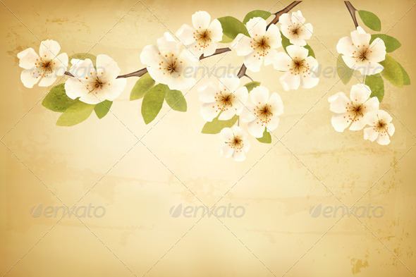 GraphicRiver Vintage Background with Blossoming Tree Brunch 6612560 GraphicRiver Vintage Background with Blossoming Tree Brunch 6612560
