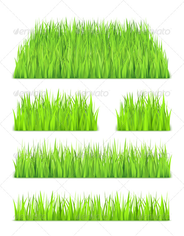 GraphicRiver Grass 6651044 GraphicRiver Grass 6651044