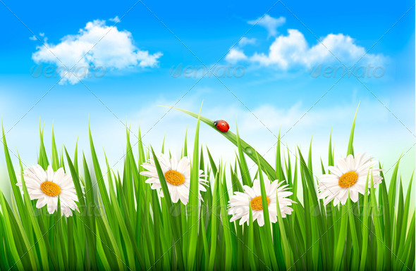 GraphicRiver Nature Background with Green Grass Flowers 6674433 GraphicRiver Nature Background with Green Grass Flowers 6674433