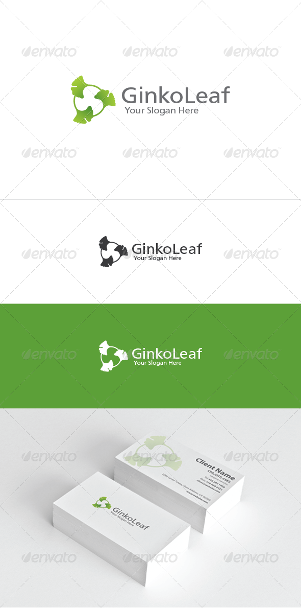 GraphicRiver Ginko Leaf 6678669 GraphicRiver Ginko Leaf 6678669
