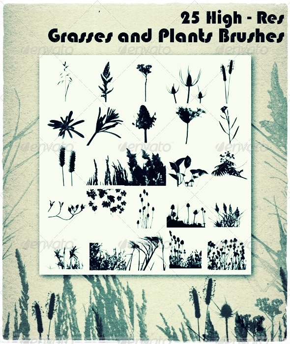 GraphicRiver Grasses and Plants Brushes 6724762 GraphicRiver Grasses and Plants Brushes 6724762