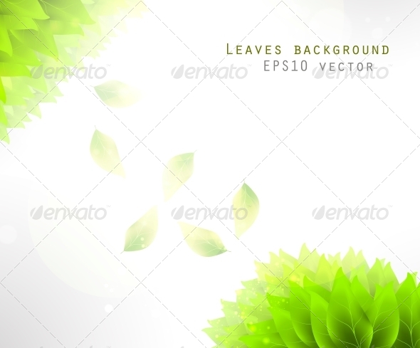 GraphicRiver Green Leaves Background 6740097 GraphicRiver Green Leaves Background 6740097