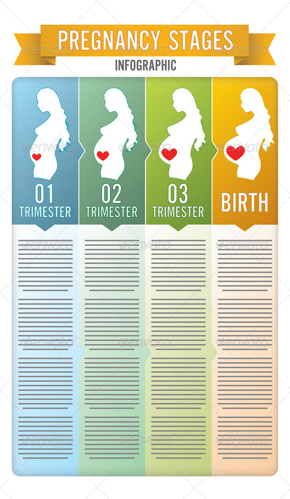 GraphicRiver Pregnancy Stages 6757992 GraphicRiver Pregnancy Stages 6757992