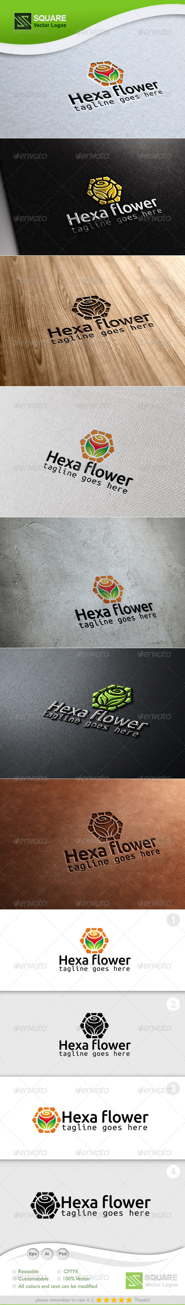 GraphicRiver Hexagon Flower Vector Logo Template 6782617 GraphicRiver Hexagon Flower Vector Logo Template 6782617