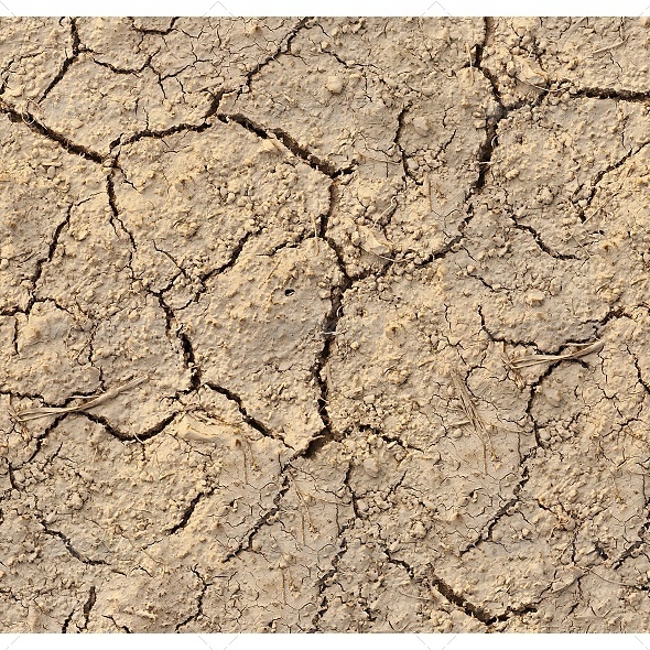 GraphicRiver Tileable Fissured Soil Texture 6797139 GraphicRiver Tileable Fissured Soil Texture 6797139