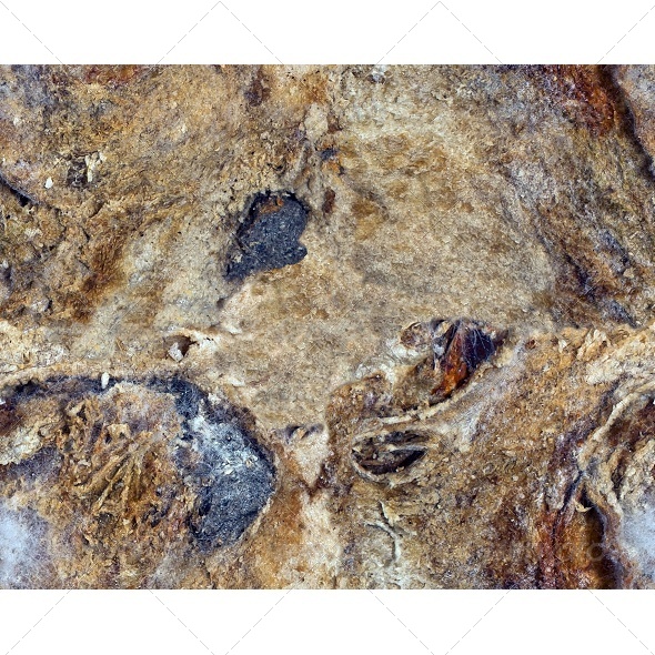 GraphicRiver Tileable Abstract Texture 6797189 GraphicRiver Tileable Abstract Texture 6797189