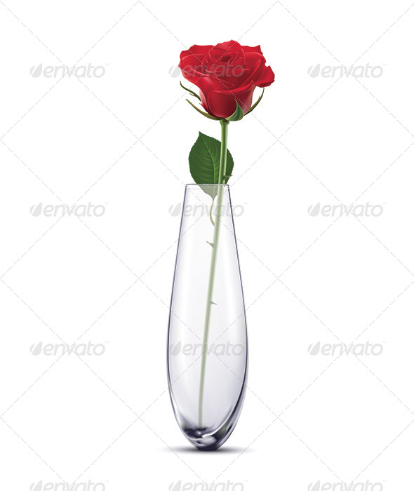 GraphicRiver Rose in a Vase 6798179 GraphicRiver Rose in a Vase 6798179