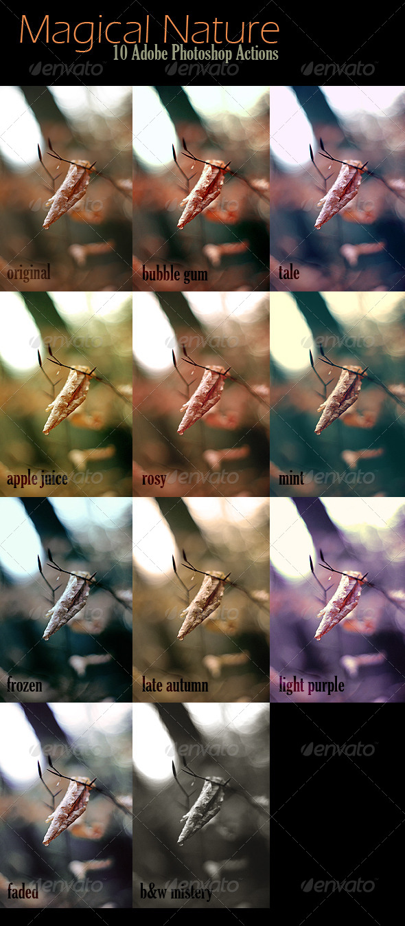 GraphicRiver 10 Magical Nature Adobe Photoshop Actions 6804361 GraphicRiver 10 Magical Nature Adobe Photoshop Actions 6804361