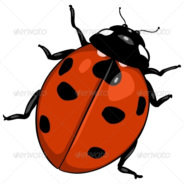 GraphicRiver Cartoon Ladybug 6805275 GraphicRiver Cartoon Ladybug 6805275