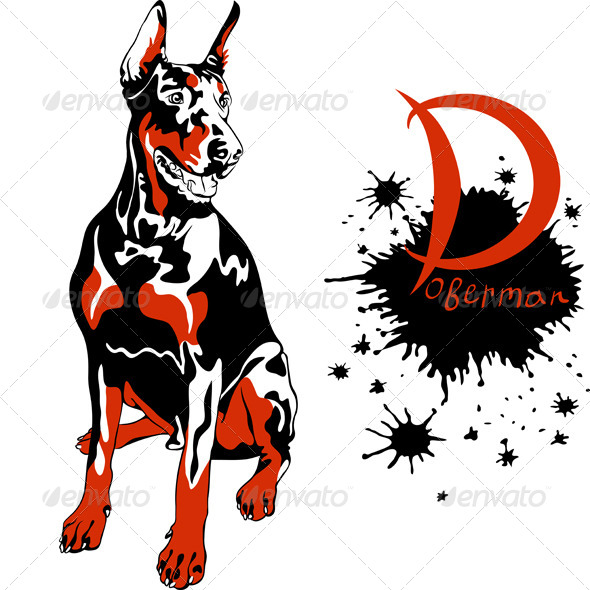 GraphicRiver Doberman Pinscher Breed 6814548 GraphicRiver Doberman Pinscher Breed 6814548