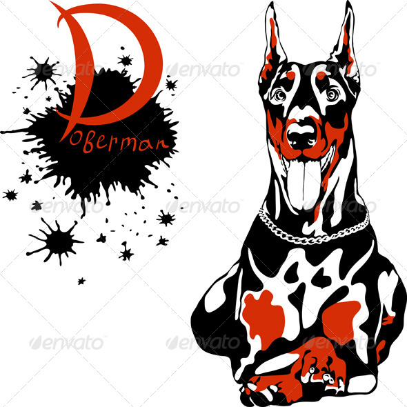 GraphicRiver Doberman Pinscher Breed 6814647 GraphicRiver Doberman Pinscher Breed 6814647