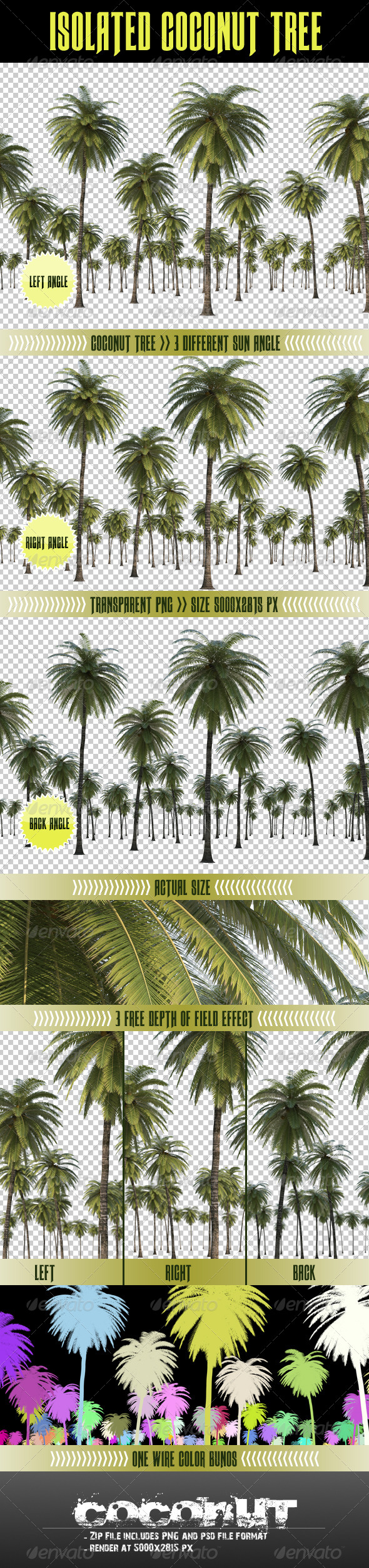 GraphicRiver Coconut Tree 6817482 GraphicRiver Coconut Tree 6817482