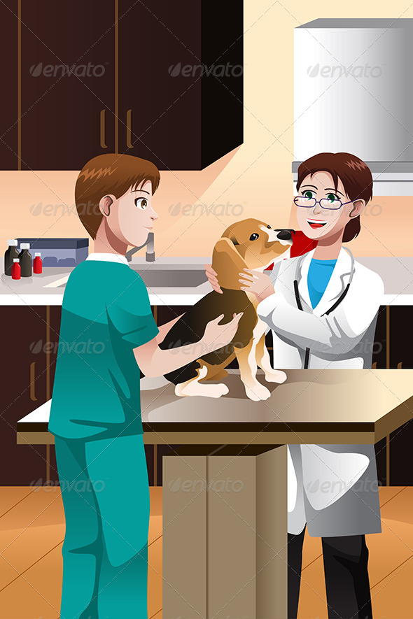 GraphicRiver Veterinarian Examining a Dog 6855816 GraphicRiver Veterinarian Examining a Dog 6855816