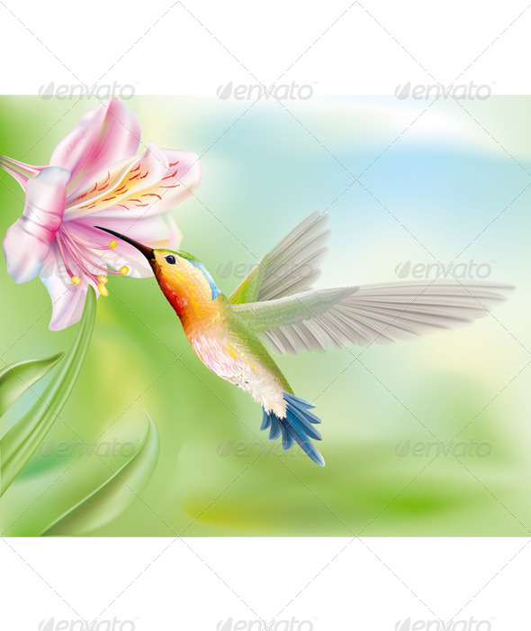 GraphicRiver Hummingbird in the Flower 6860136 GraphicRiver Hummingbird in the Flower 6860136