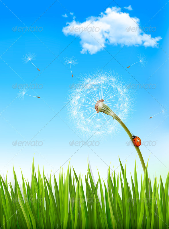 GraphicRiver Nature Background with a Dandelion and a Ladybug 6862824 GraphicRiver Nature Background with a Dandelion and a Ladybug 6862824
