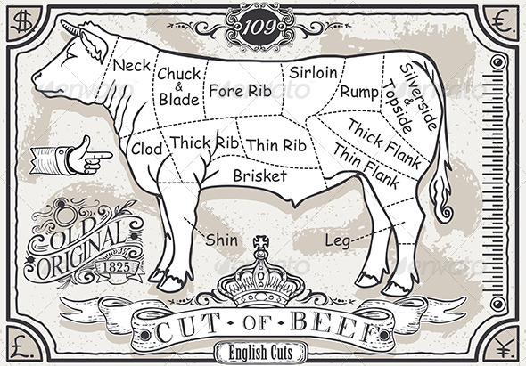 GraphicRiver Vintage Pastel Page of English Cut of Beef 6918847 GraphicRiver Vintage Pastel Page of English Cut of Beef 6918847