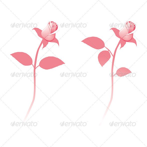 GraphicRiver Pink Rose 6950664 GraphicRiver Pink Rose 6950664