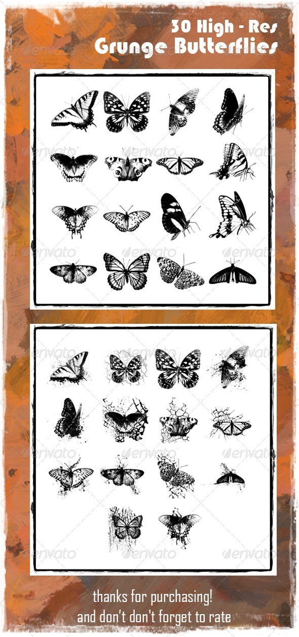 GraphicRiver Grunge Butterfly Brush Set 6965028 GraphicRiver Grunge Butterfly Brush Set 6965028