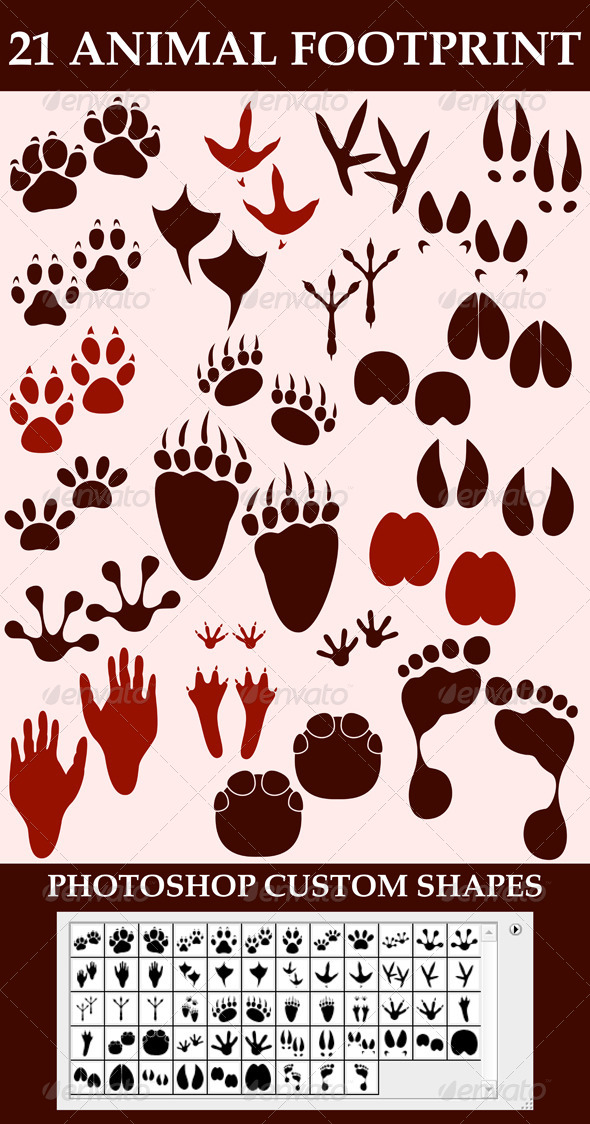 GraphicRiver Animal Footprint Custom Shapes 6965922 GraphicRiver Animal Footprint Custom Shapes 6965922