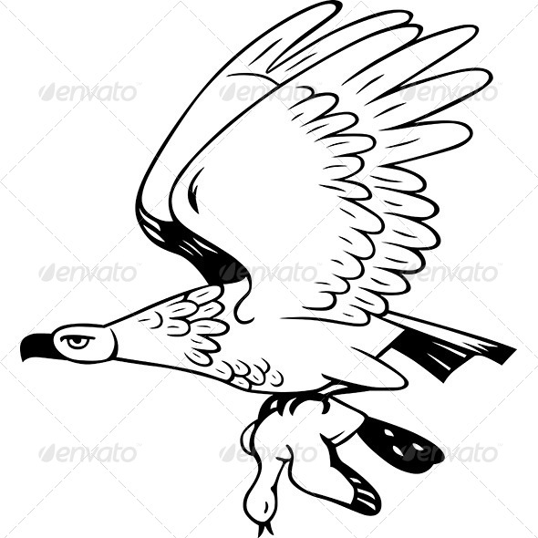 GraphicRiver Eagle and His Prey 6998480 GraphicRiver Eagle and His Prey 6998480