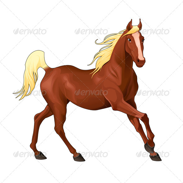 GraphicRiver Elegant Horse 7026505 GraphicRiver Elegant Horse 7026505