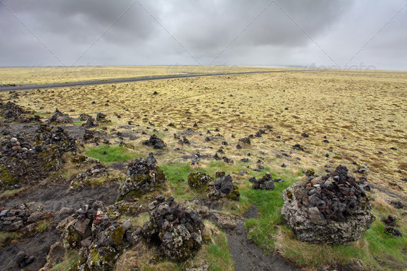 Icelandic moss covers volcanic rock