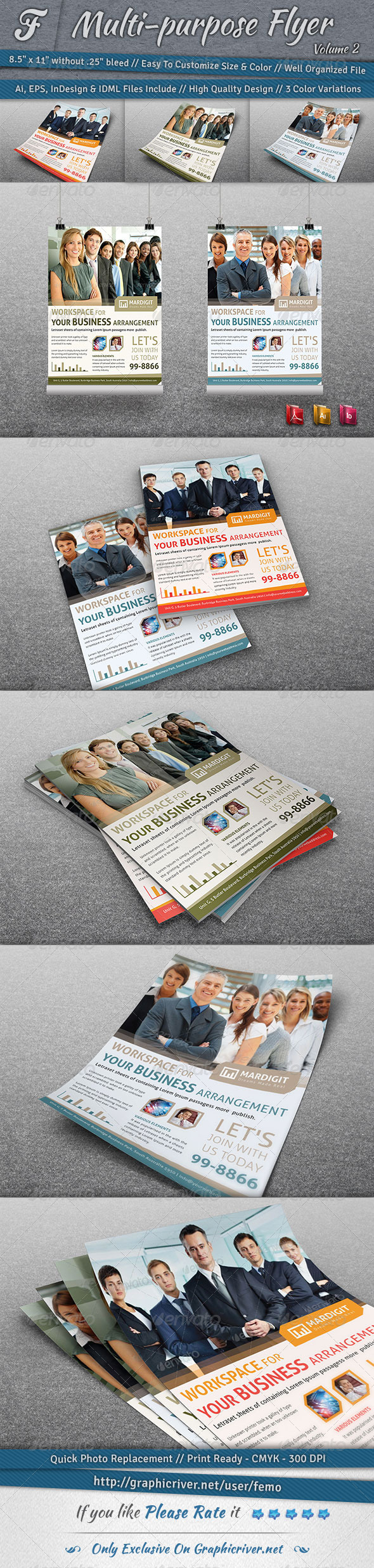GraphicRiver Multi-purpose Flyer Volume 2 7030164 GraphicRiver Multi-purpose Flyer Volume 2 7030164