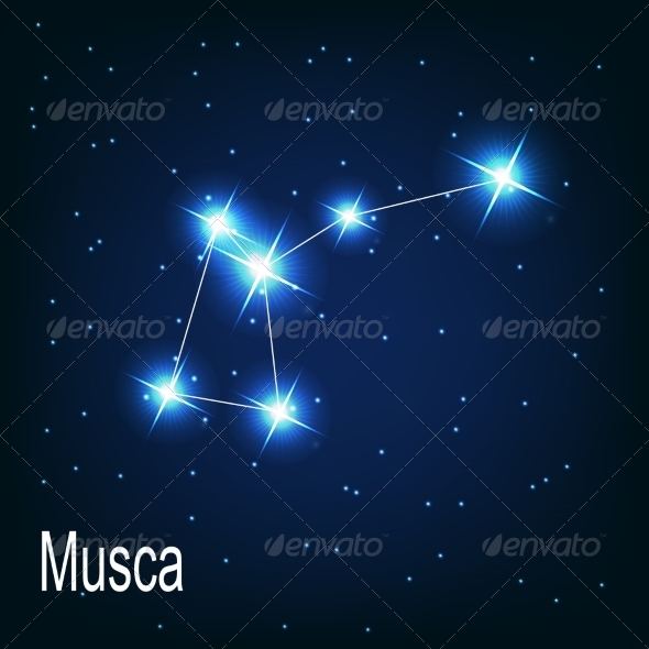 GraphicRiver The Constellation Musca 7035901 GraphicRiver The Constellation Musca 7035901