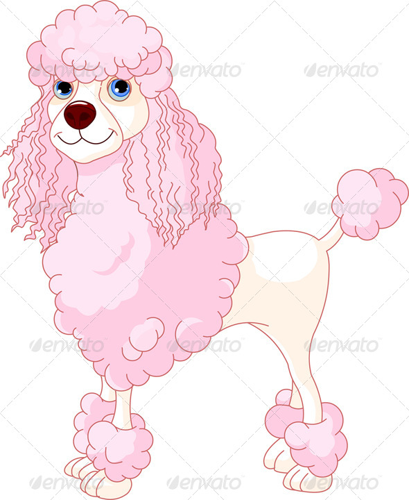 GraphicRiver Pink Poodle 7118970 GraphicRiver Pink Poodle 7118970