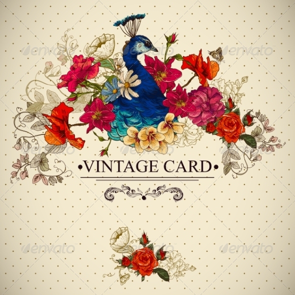 GraphicRiver Floral Vintage Card with Peacock 7149186 GraphicRiver Floral Vintage Card with Peacock 7149186