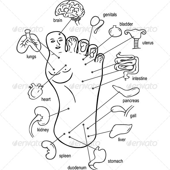 GraphicRiver Acupuncture Points on Foot 7161766 GraphicRiver Acupuncture Points on Foot 7161766