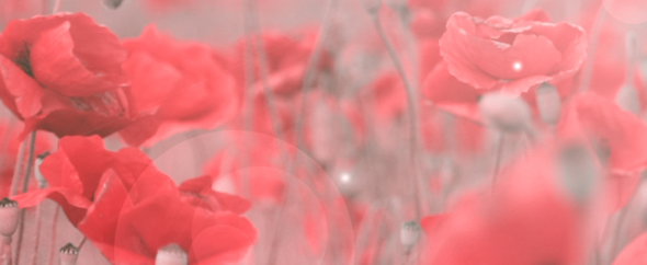 a_chromatic