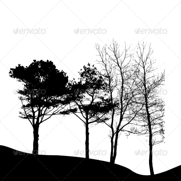 Tree Silhouette Isolated on White Background (Seasons)