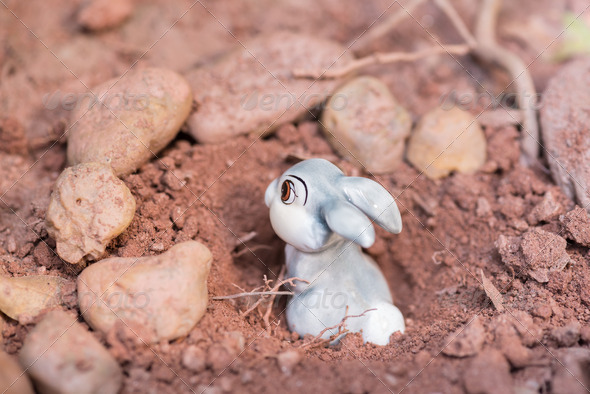 Porcelain rabbit hiding in a rabbit hole