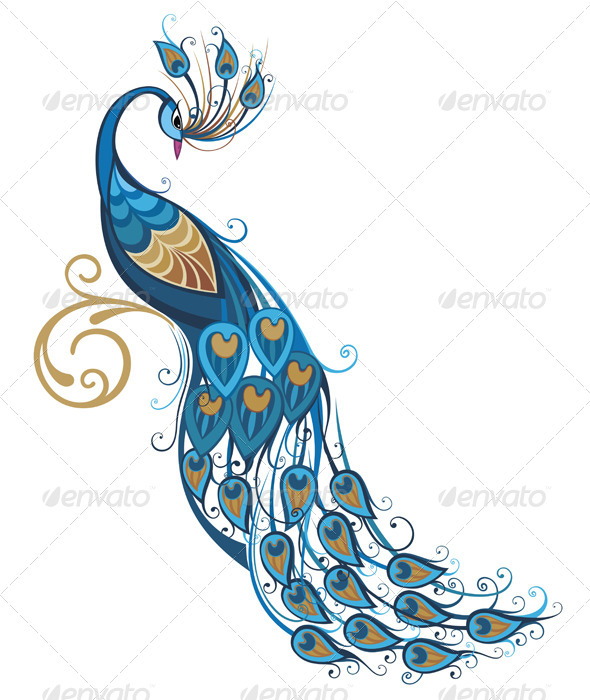 GraphicRiver Peacock 7456521 GraphicRiver Peacock 7456521