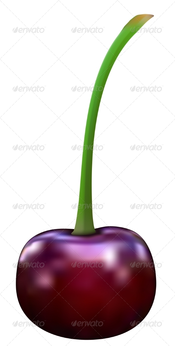 GraphicRiver Cherry 7476181 GraphicRiver Cherry 7476181
