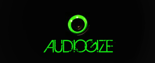 Audiogize