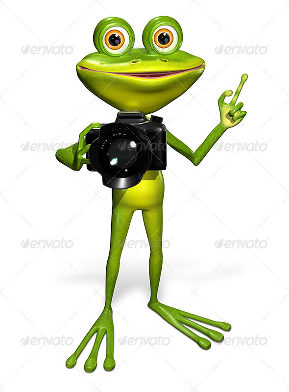 GraphicRiver Frog with a Camera 7497175 GraphicRiver Frog with a Camera 7497175