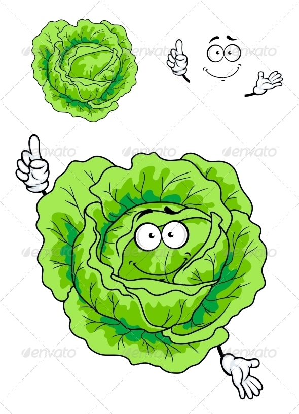 GraphicRiver Cabbage Cartoon 7546747 GraphicRiver Cabbage Cartoon 7546747