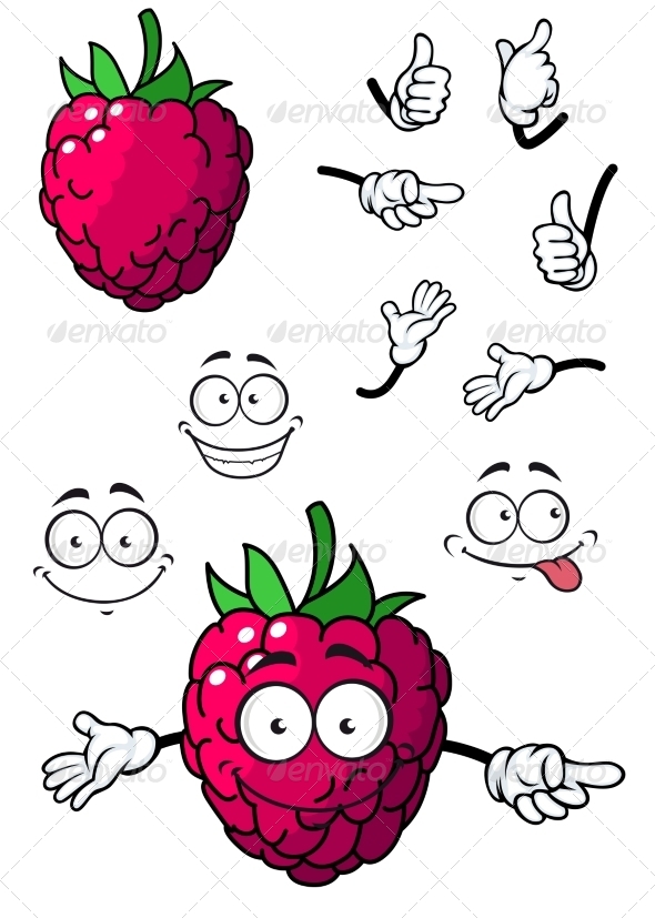 GraphicRiver Cartoon Raspberry 7549547 GraphicRiver Cartoon Raspberry 7549547