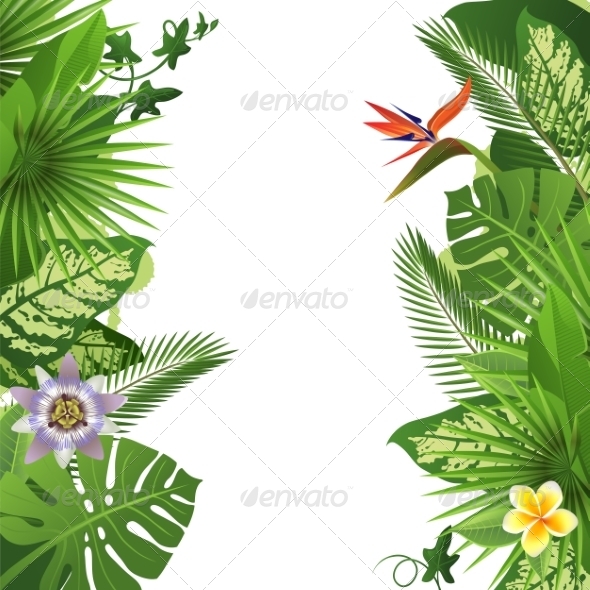 GraphicRiver Tropical Background 7565064 GraphicRiver Tropical Background 7565064