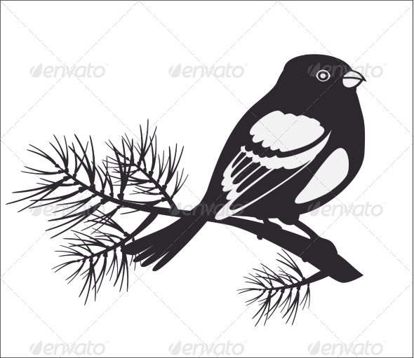 GraphicRiver Black Silhouette of Bullfinch 7573684 GraphicRiver Black Silhouette of Bullfinch 7573684