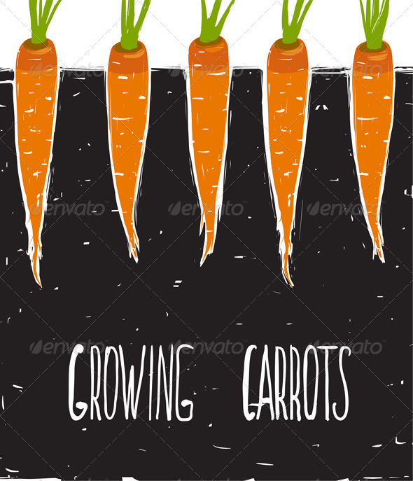 GraphicRiver Growing Carrots Freehand Drawing and Lettering 7584379 GraphicRiver Growing Carrots Freehand Drawing and Lettering 7584379
