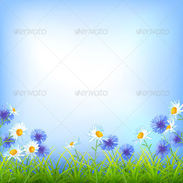 GraphicRiver Field Flowers Daisy Cornflower Grass Background 7627252 GraphicRiver Field Flowers Daisy Cornflower Grass Background 7627252