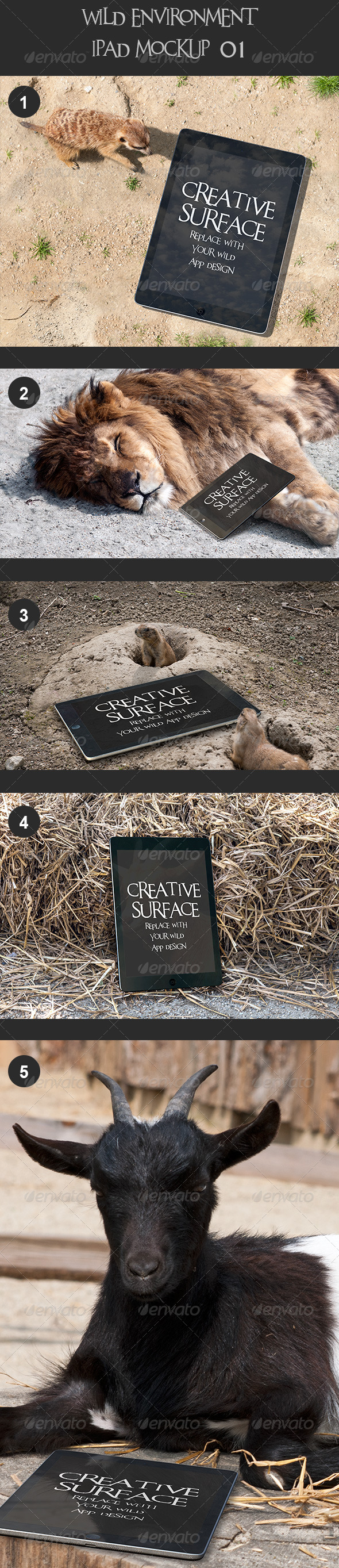 GraphicRiver Wild Environment Ipad Mock Up s 01 7617270 GraphicRiver Wild Environment Ipad Mock Up s 01 7617270