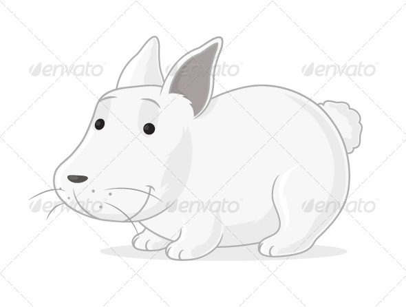 GraphicRiver Bunny 7688083 GraphicRiver Bunny 7688083