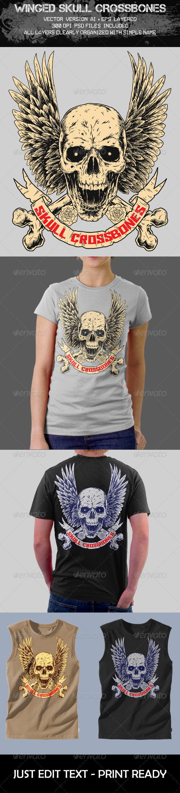GraphicRiver Skull Crossbones 7659239 GraphicRiver Skull Crossbones 7659239