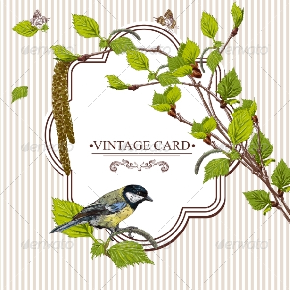 GraphicRiver Birch Branches 7722944 GraphicRiver Birch Branches 7722944