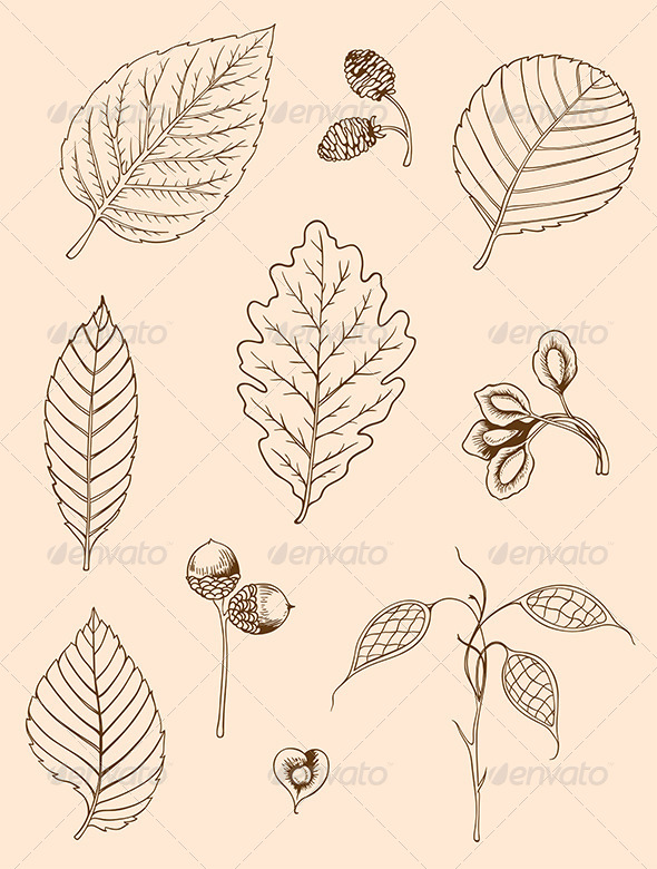 GraphicRiver Set of Vintage Leaves 7723637 GraphicRiver Set of Vintage Leaves 7723637